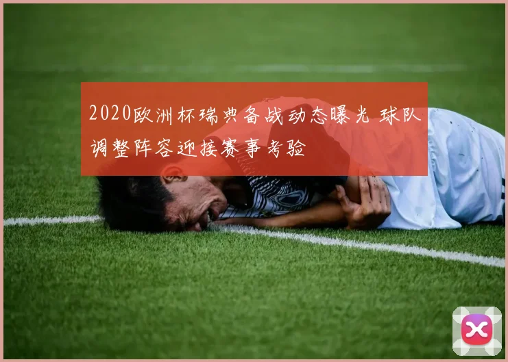 2020欧洲杯瑞典备战动态曝光 球队调整阵容迎接赛事考验