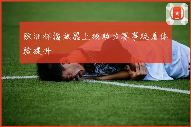 欧洲杯播放器上线助力赛事观看体验提升