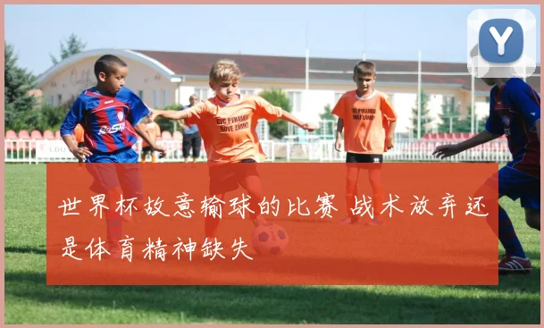 世界杯故意输球的比赛 战术放弃还是体育精神缺失