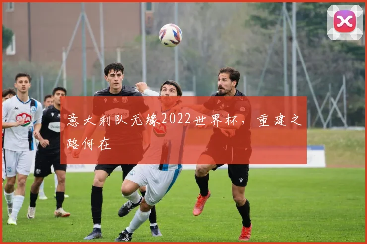 意大利队无缘2022世界杯，重建之路何在