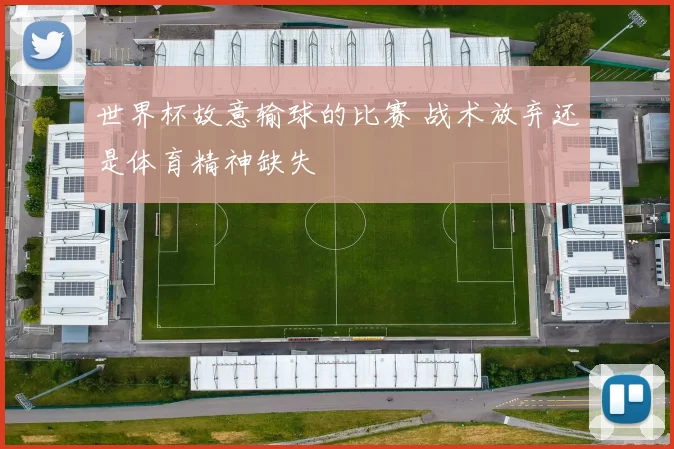 世界杯故意输球的比赛 战术放弃还是体育精神缺失
