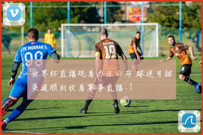 世界杯直播观看办法公布 球迷可按渠道顺利收看赛事直播_1