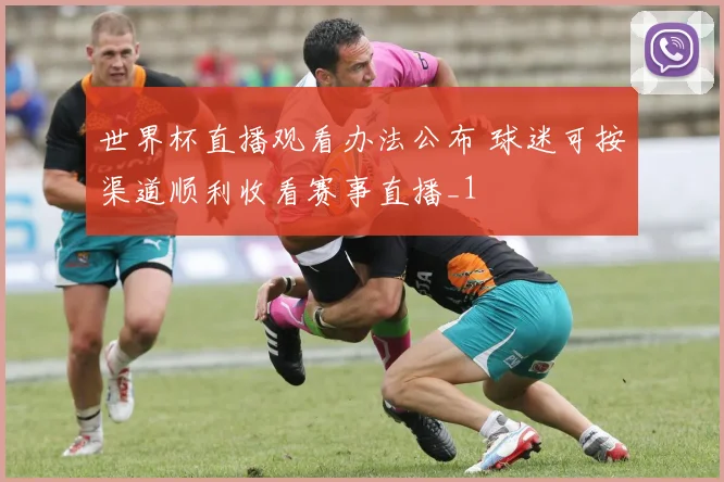 世界杯直播观看办法公布 球迷可按渠道顺利收看赛事直播_1